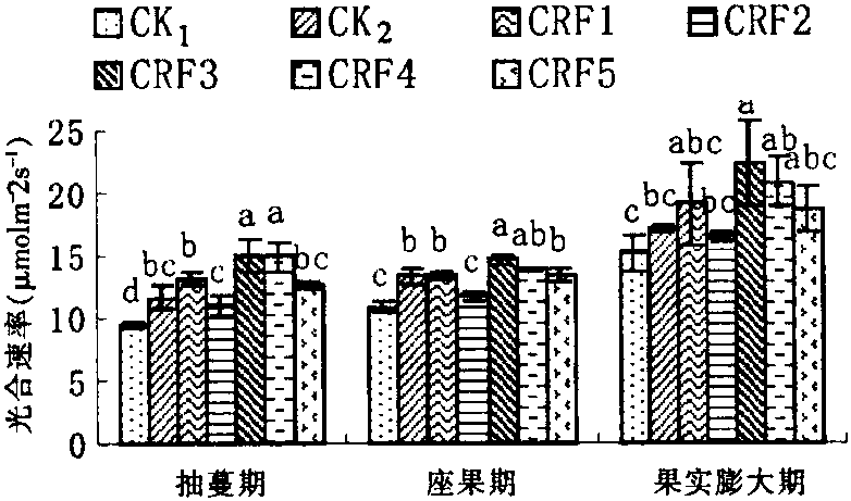 控釋肥料對(duì)旱砂田西瓜產(chǎn)量、品質(zhì)及養(yǎng)分利用率的影響